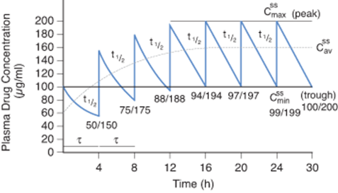 Graphic illustrating drug reaching steady state after four to five half lives