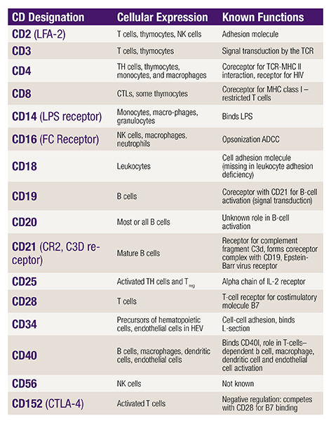 A spreadheet displaying a summary of CD markers
