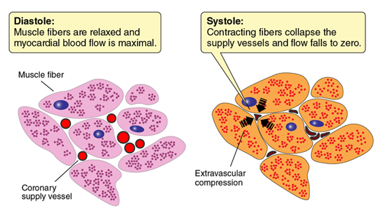 Diastole and systole