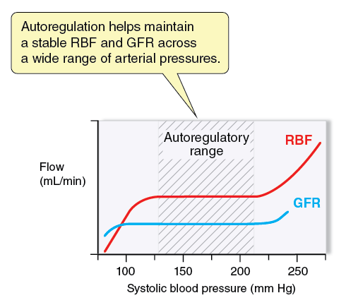 Chest pain: autoregulation chart