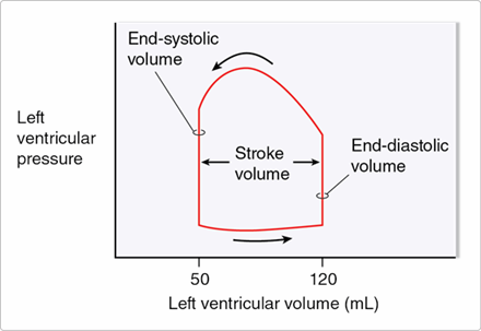 Step one - Shoulder pain - Answer one