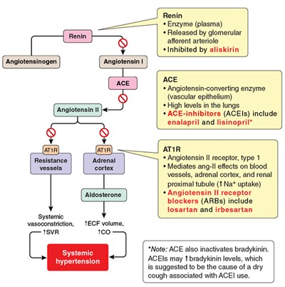 Replacing medication Step 1 - chart