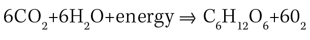 Question: What is the theoretical yield, in grams, of glucose if 30 grams of water are reacted with excess carbon dioxide and energy, in the balanced equation?