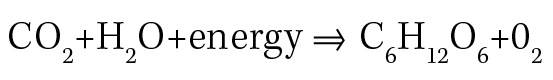 The theoretical yield is the amount of product synthesized if the limiting reagent is completely used up.