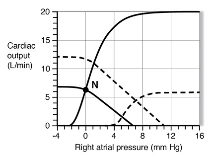 Two sets of cardiovascular function curves