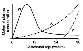 Graph of hormone profiles