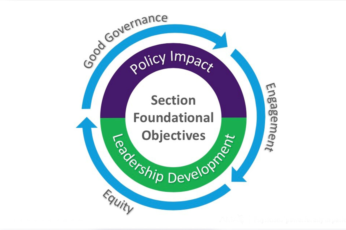 AMA section foundational objectives - 2025