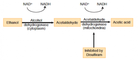 USMLE Step 1 stumper-acetaldehyde