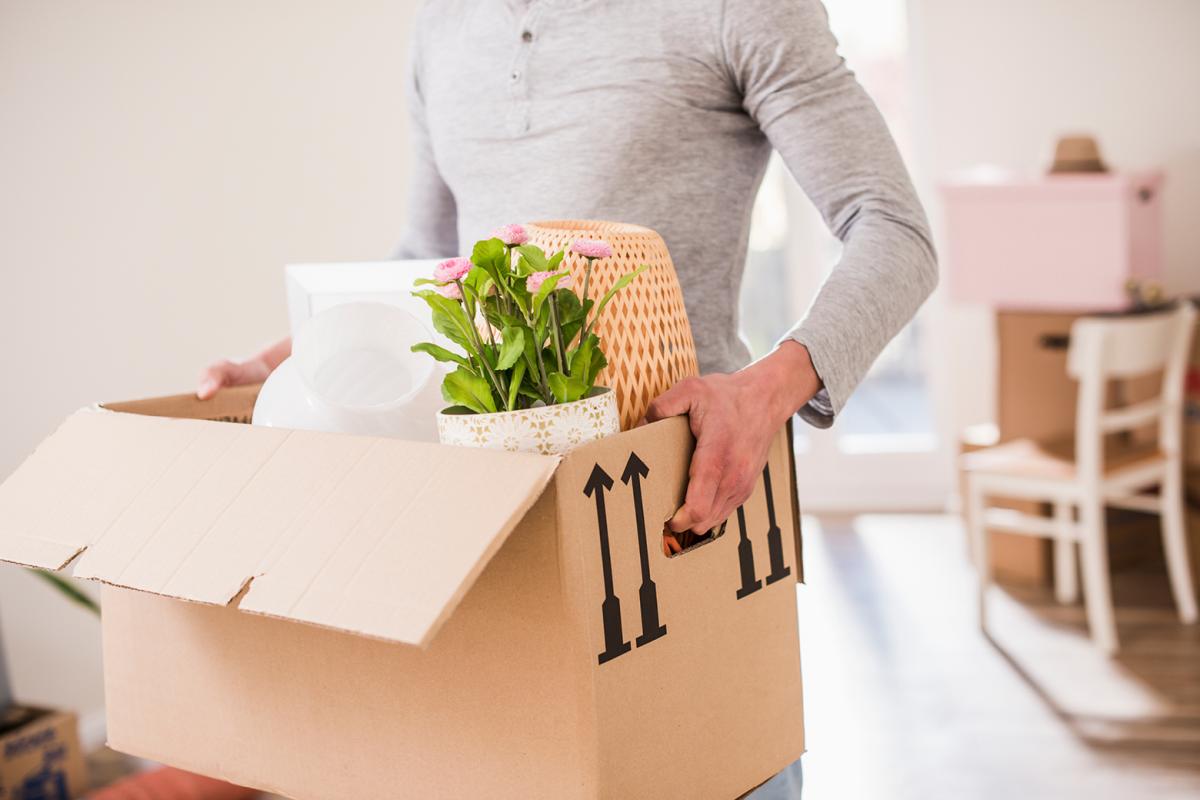 Person carrying moving box