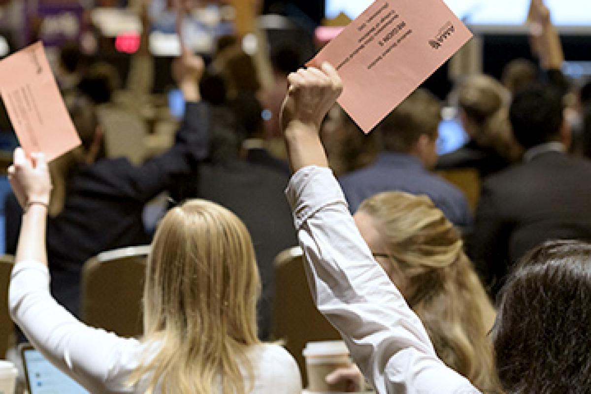 MSS in session