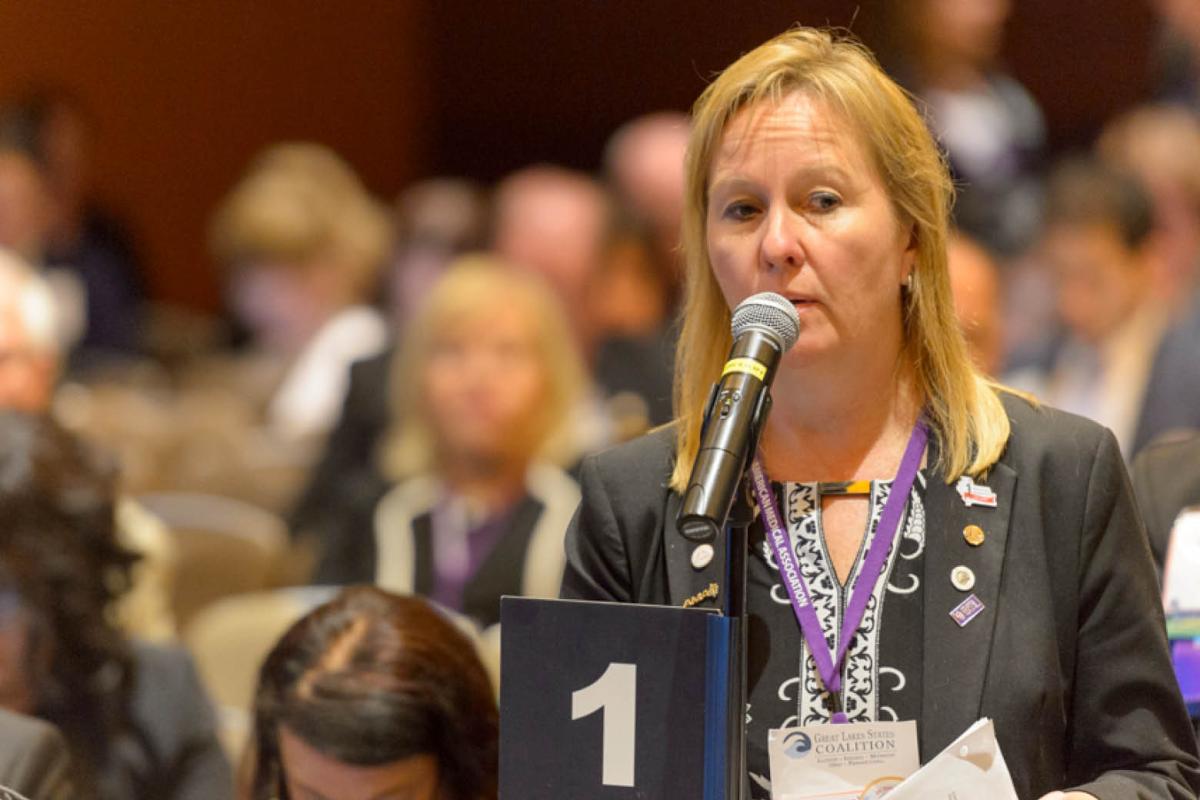 Delegates at the AMA Annual Meeting