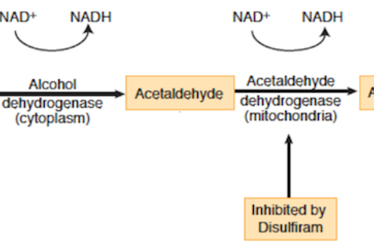USMLE Step 1 stumper-acetaldehyde