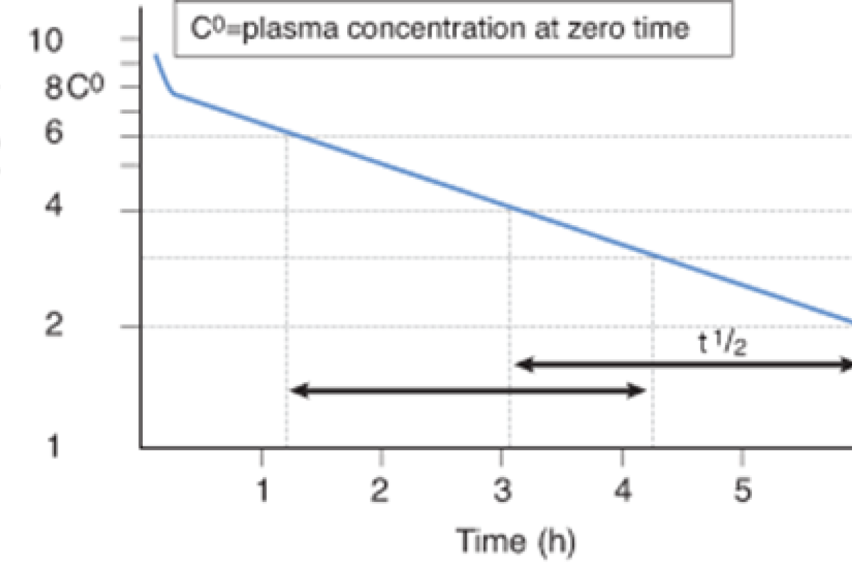 Graphic illustrating constant fraction for half life of a drug
