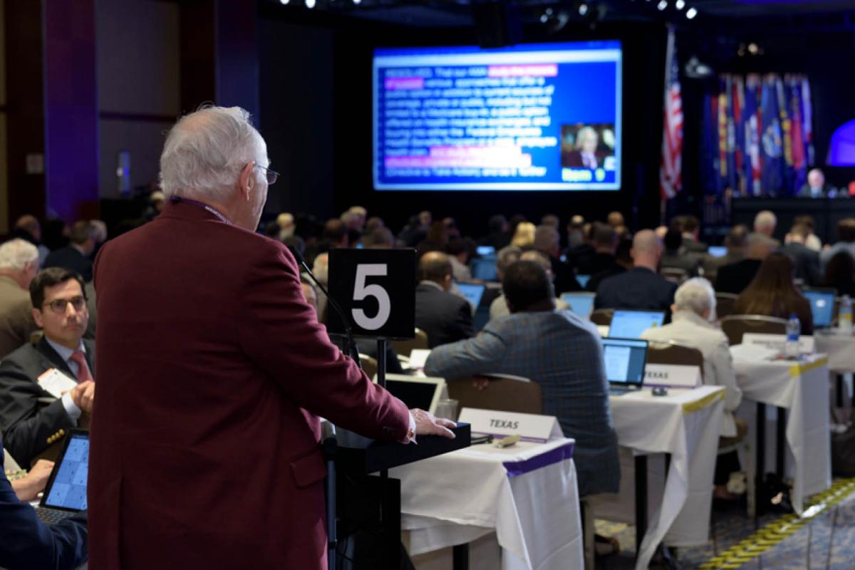 AMA Interim Meeting