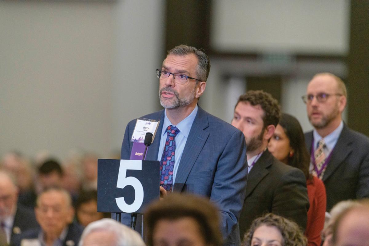 Delegate addressing the HOD at the 2019 Interim Meeting