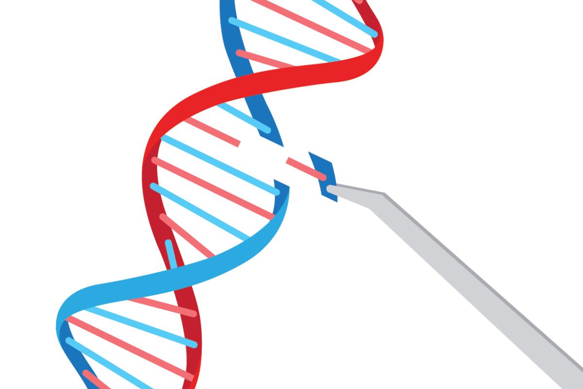 Graphic of DNA