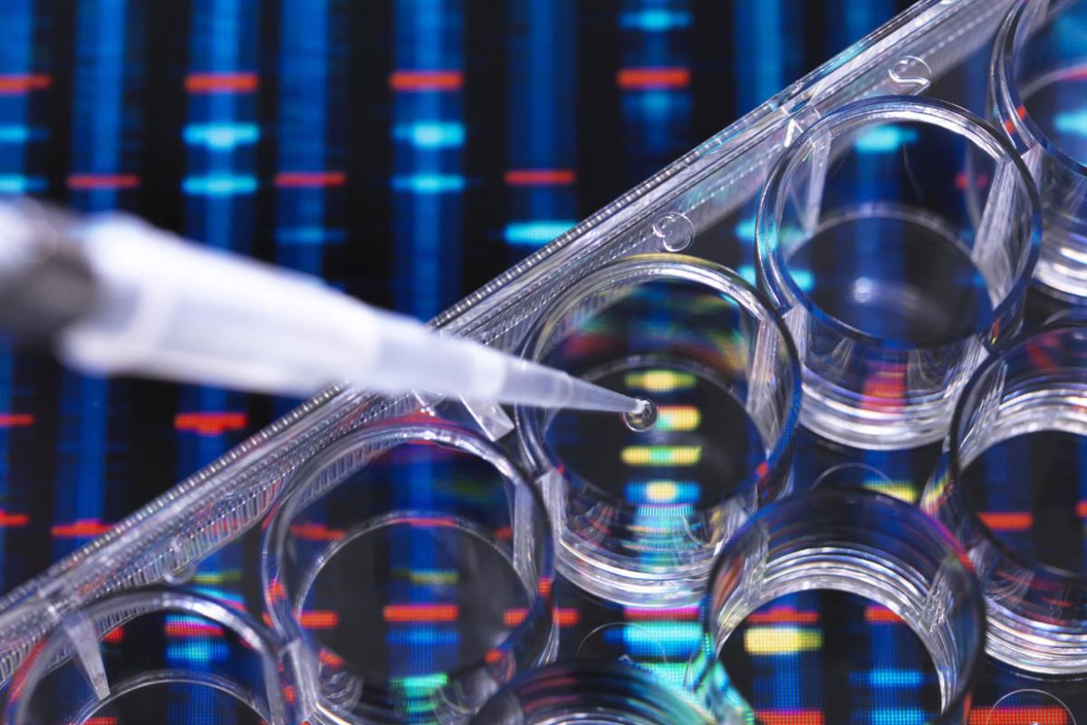 Pipetting sample into multi well plate 