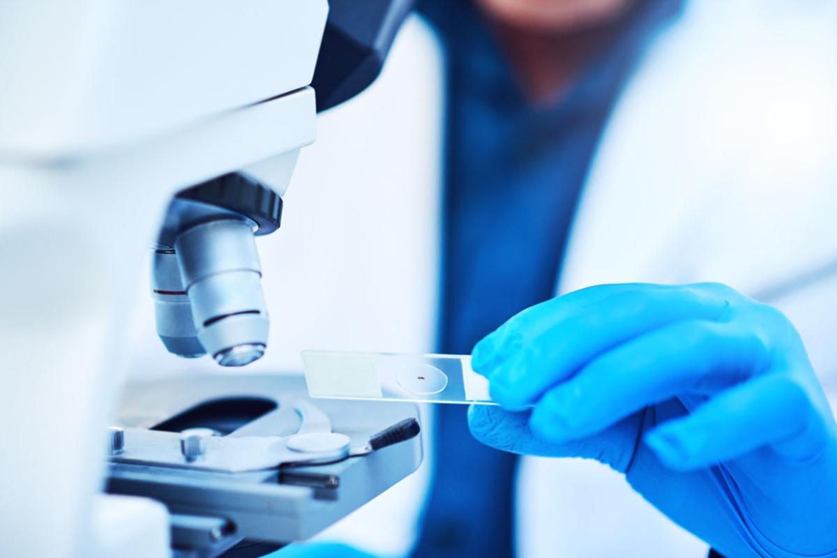 Microscope