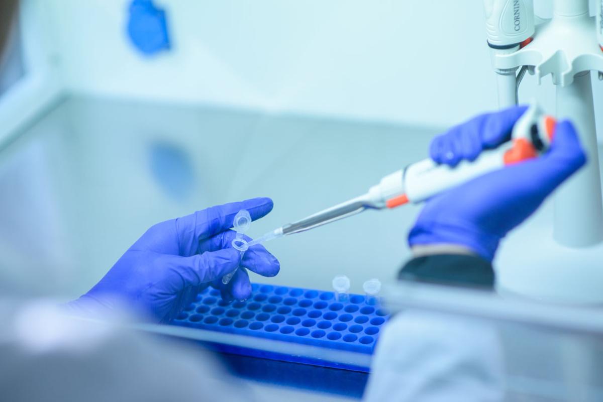 Worker in lab working with a test tube_Tight shot of hands