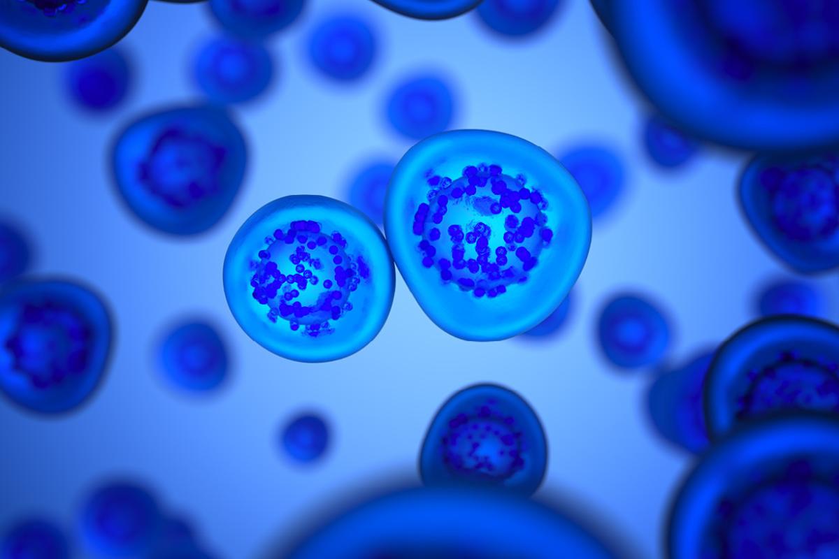 Closeup of cell seen through microscope