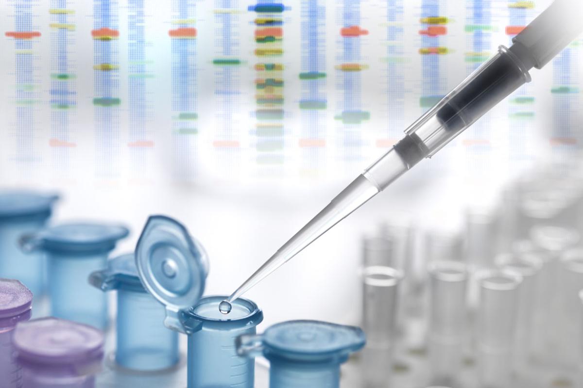 A sample being pipetted into a lab vial