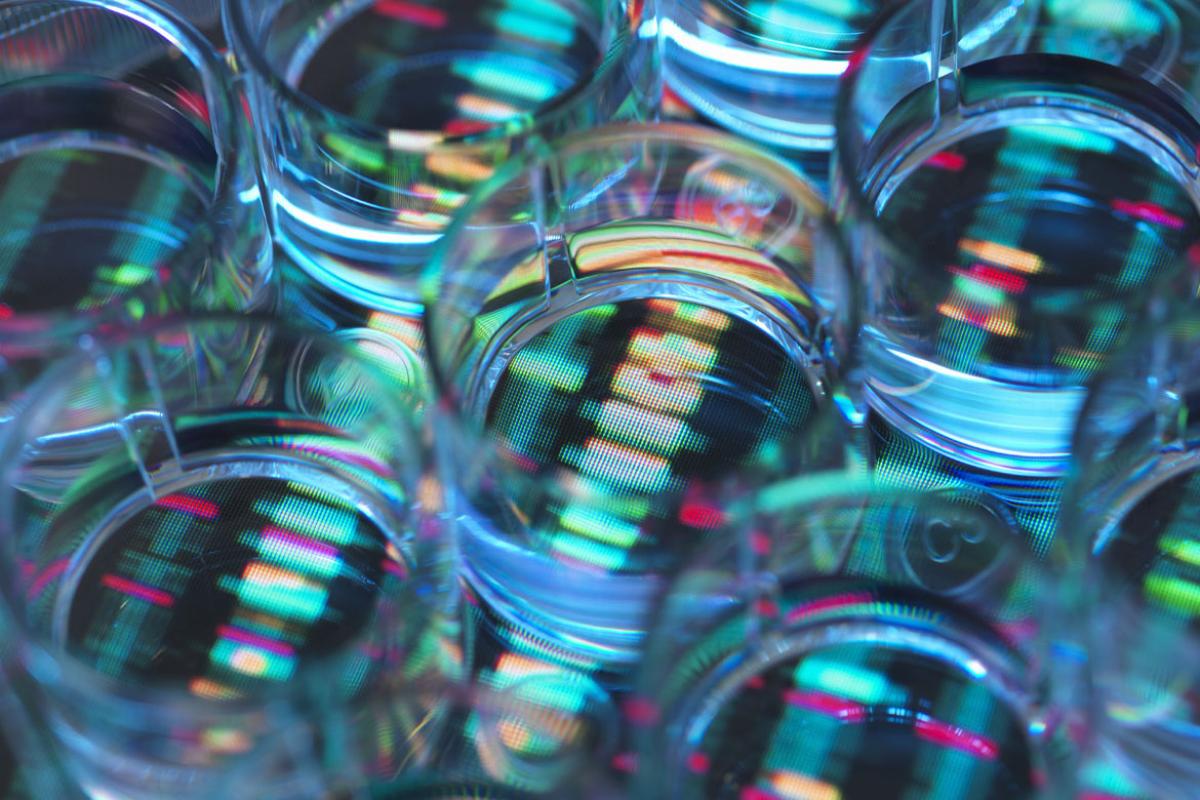DNA sequence