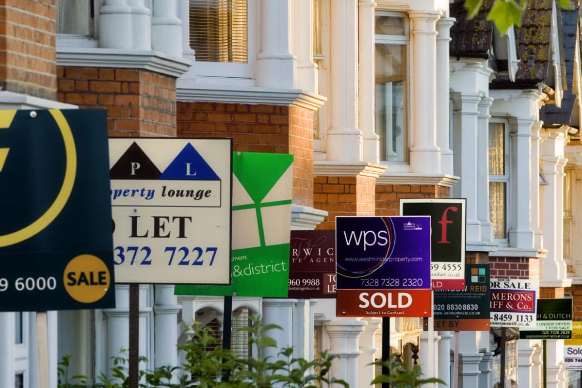 For sale signs in front of a row of houses