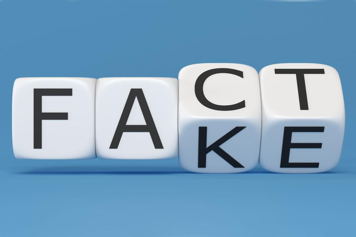 Blocks with the words fact and fake