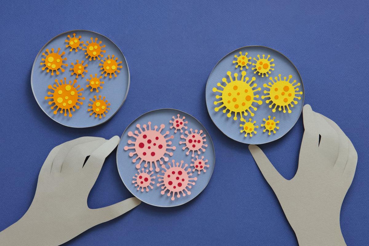 Petri dishes