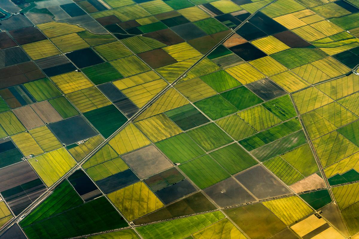 Rural landscape