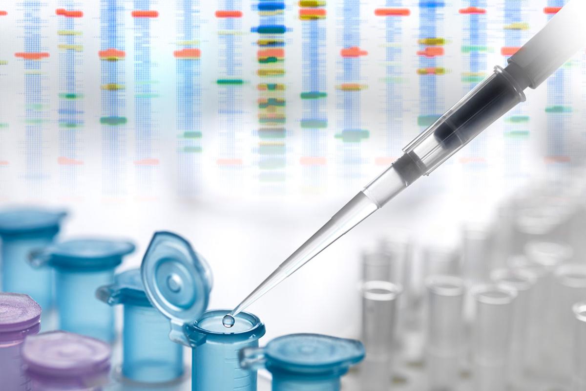 A DNA sample being pipetted into a tube