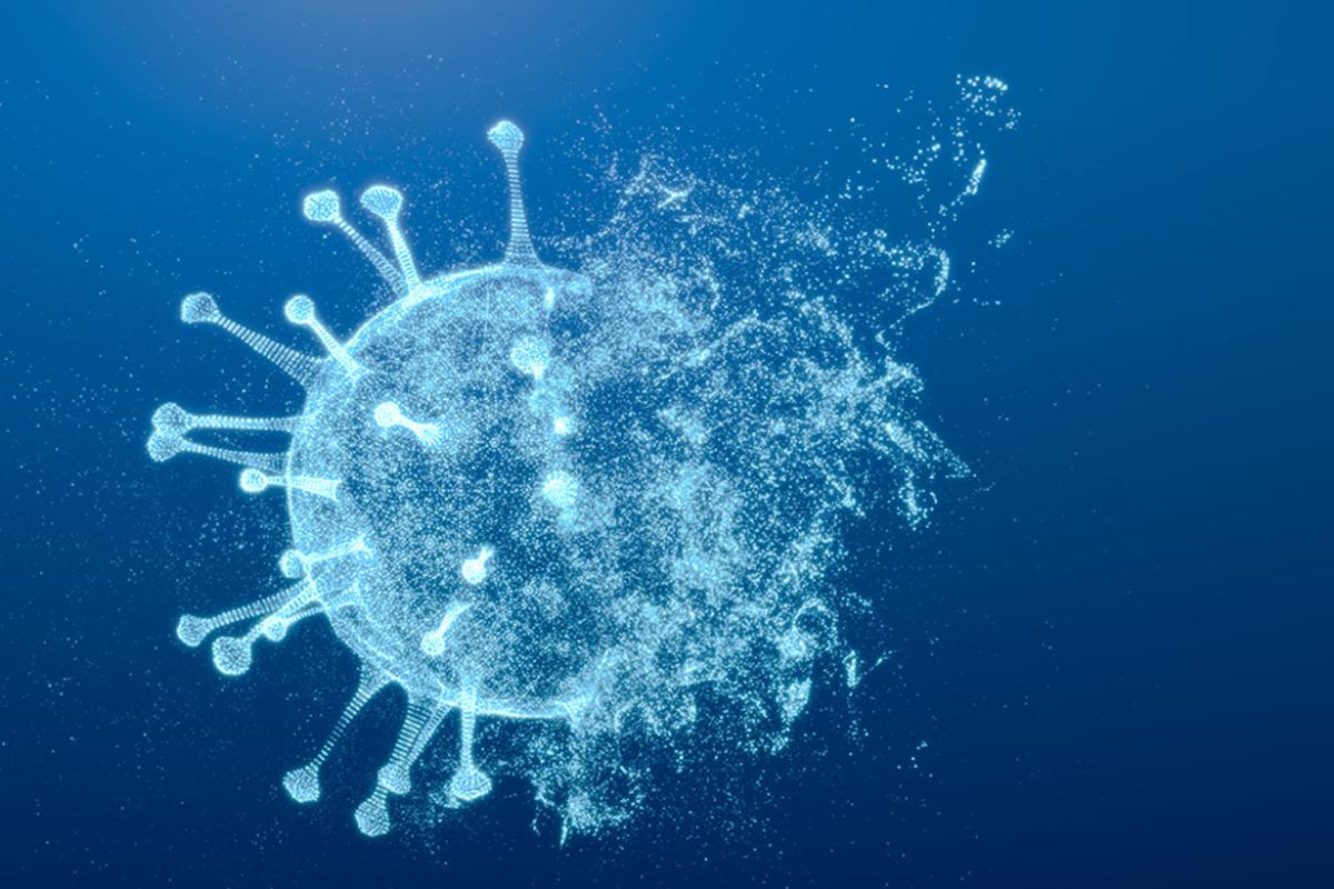 Disappearing coronavirus