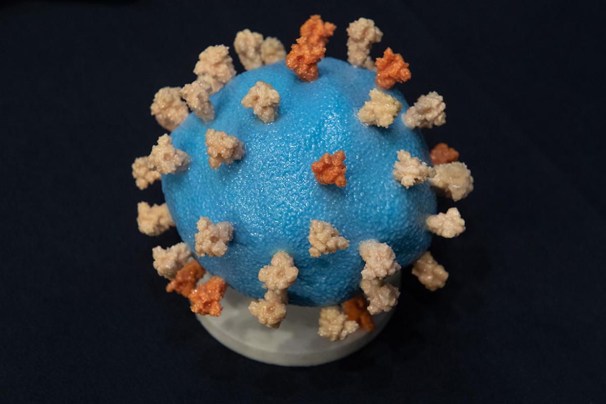 Model of COVID-19