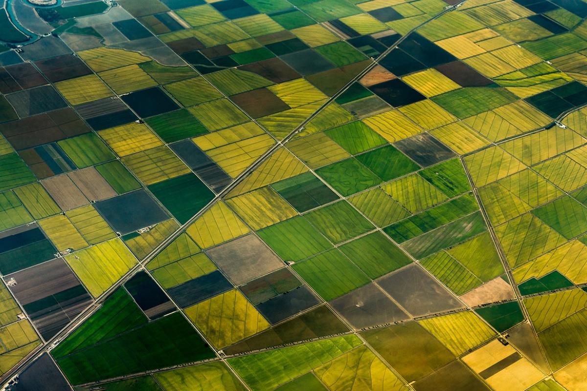 Aerial view of green fields