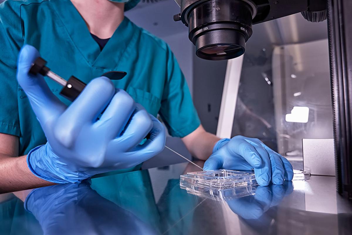 Laboratory work in progress