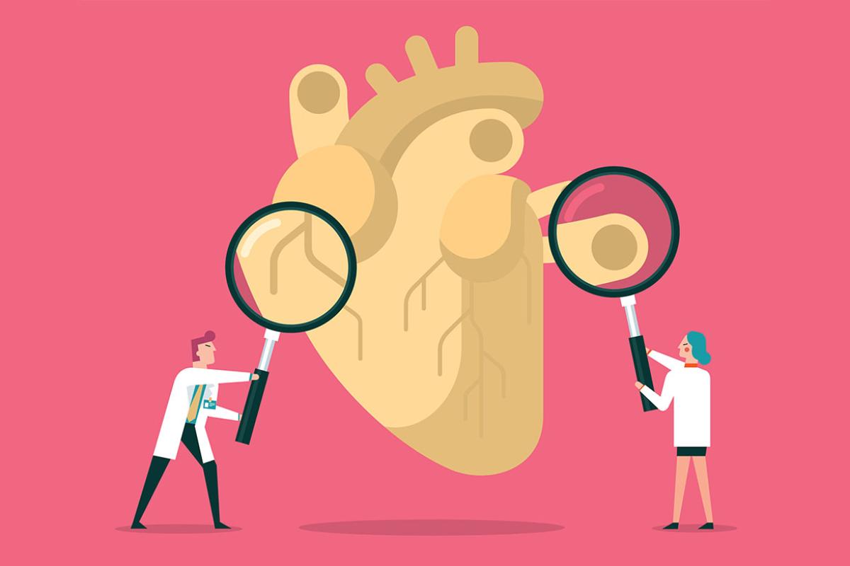Two health care workers hold magnifying glasses over human heart