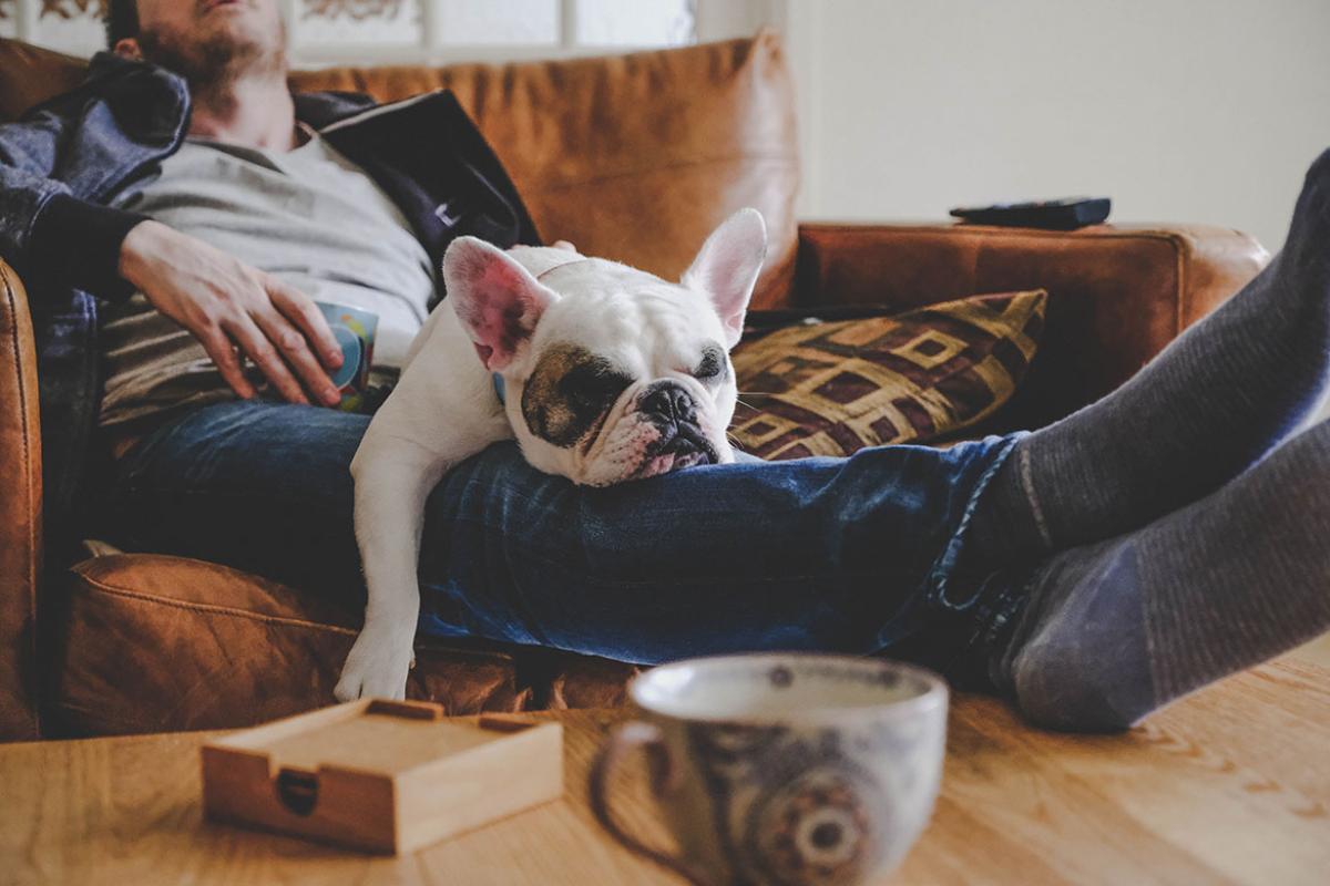 Sleeping person and dog
