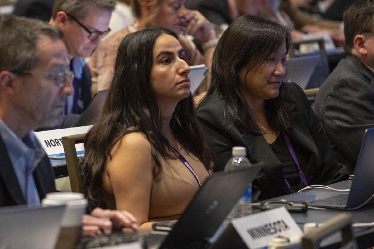 Delegates at the 2023 Interim Meeting HOD