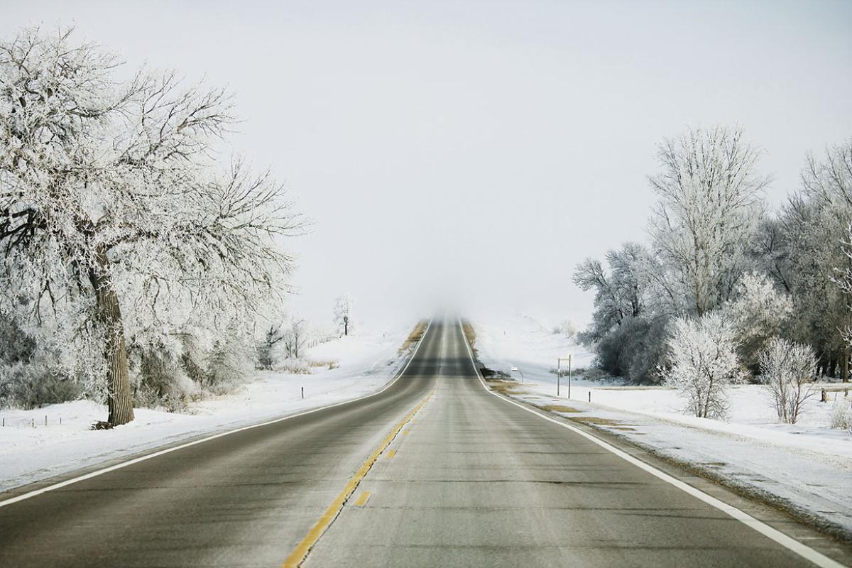 Empty road amidst trees against sky