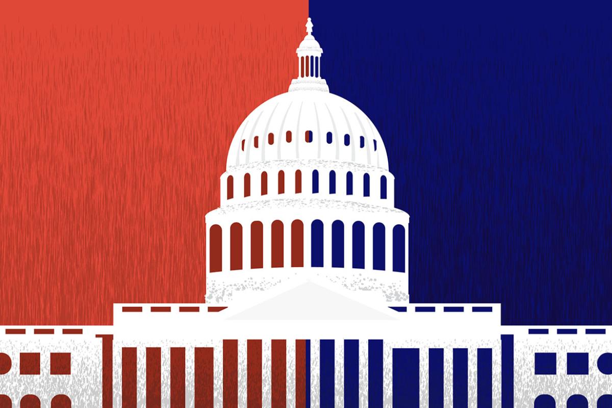  U.S. Capitol building with American flag design elements
