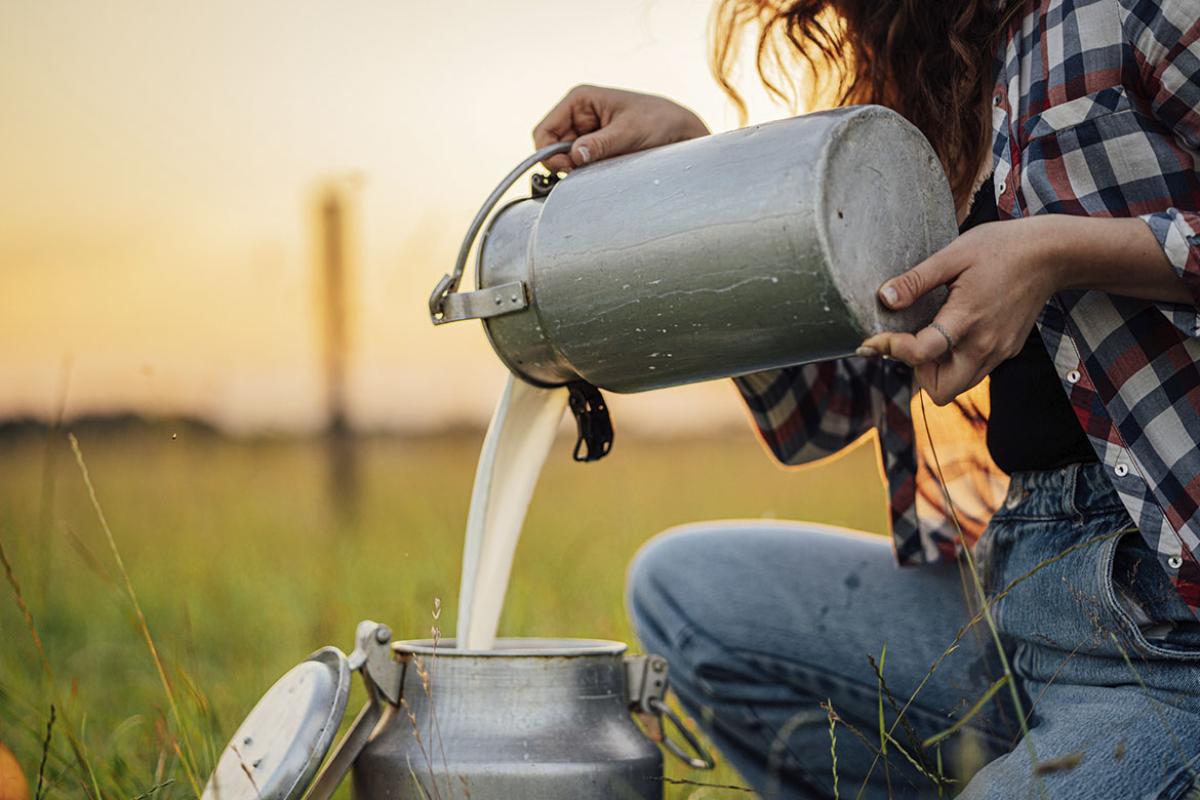 Person pouring milk