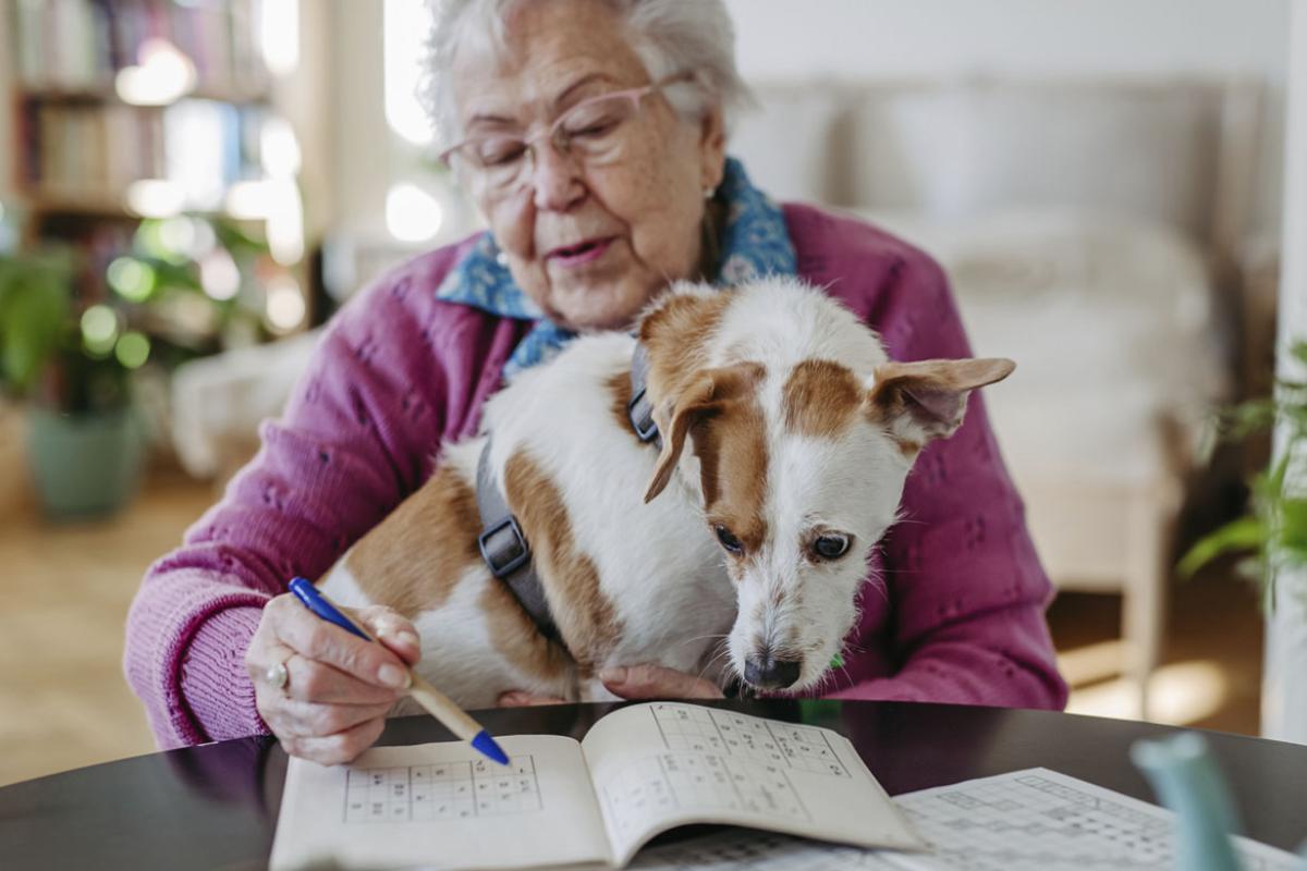 Senior woman holds dog while working on a puzzle