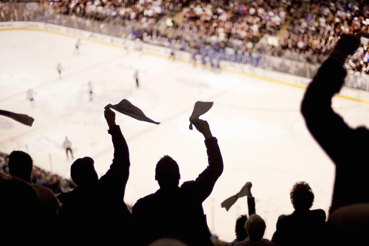 Cheering fans at ice hockey game