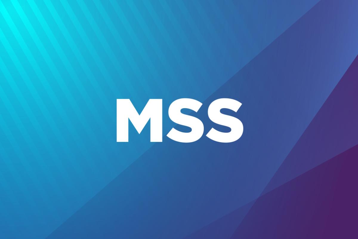2025 MSS Annual Meeting