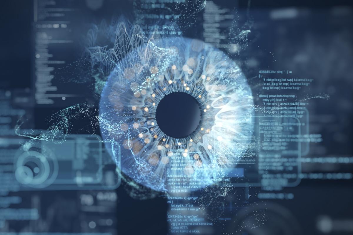 Biometric eye scan