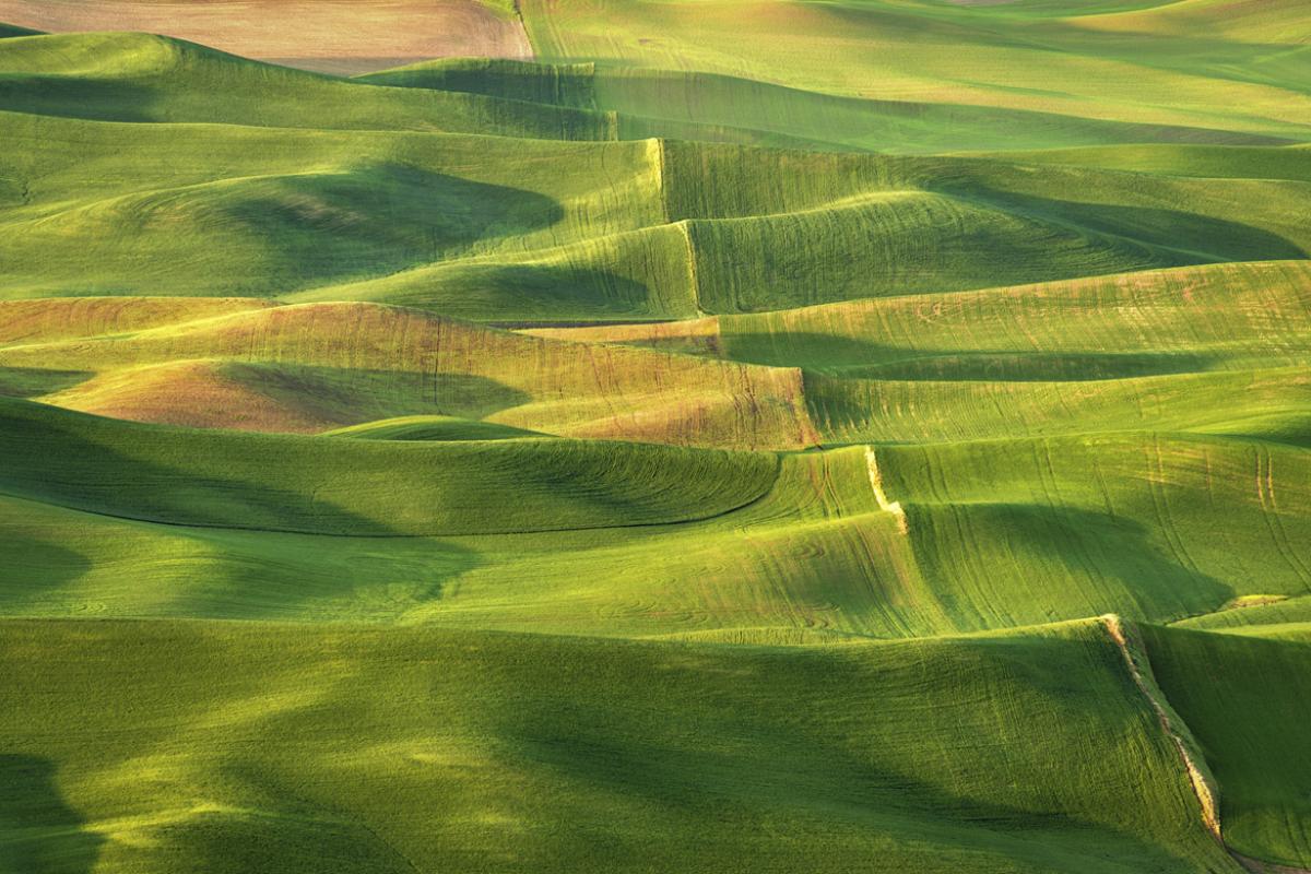 Rural landscape
