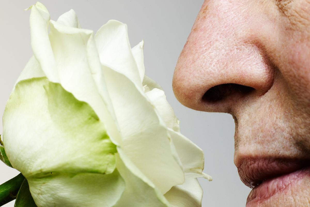 Nose smelling a rose