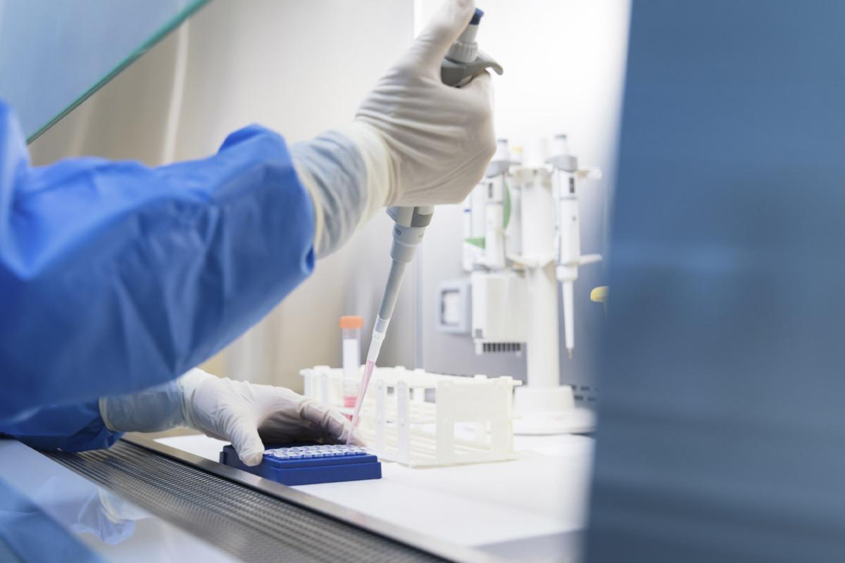 Scientists conduct scientific experiments in the biosafety cabinet of the laboratory