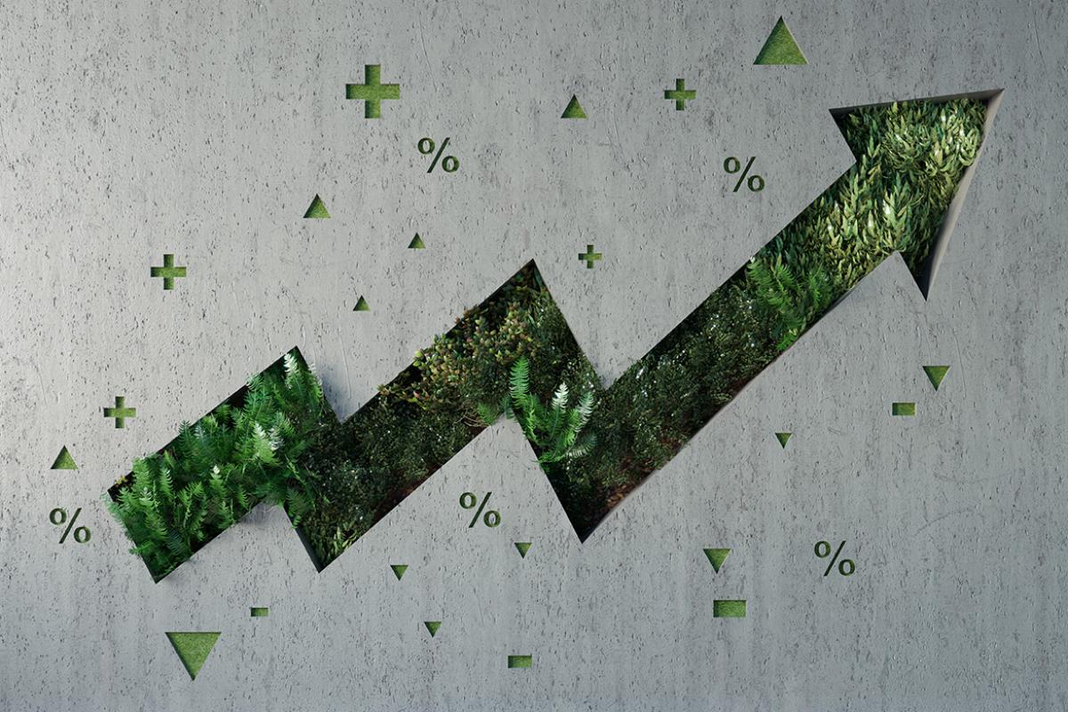 Growing graph arrow