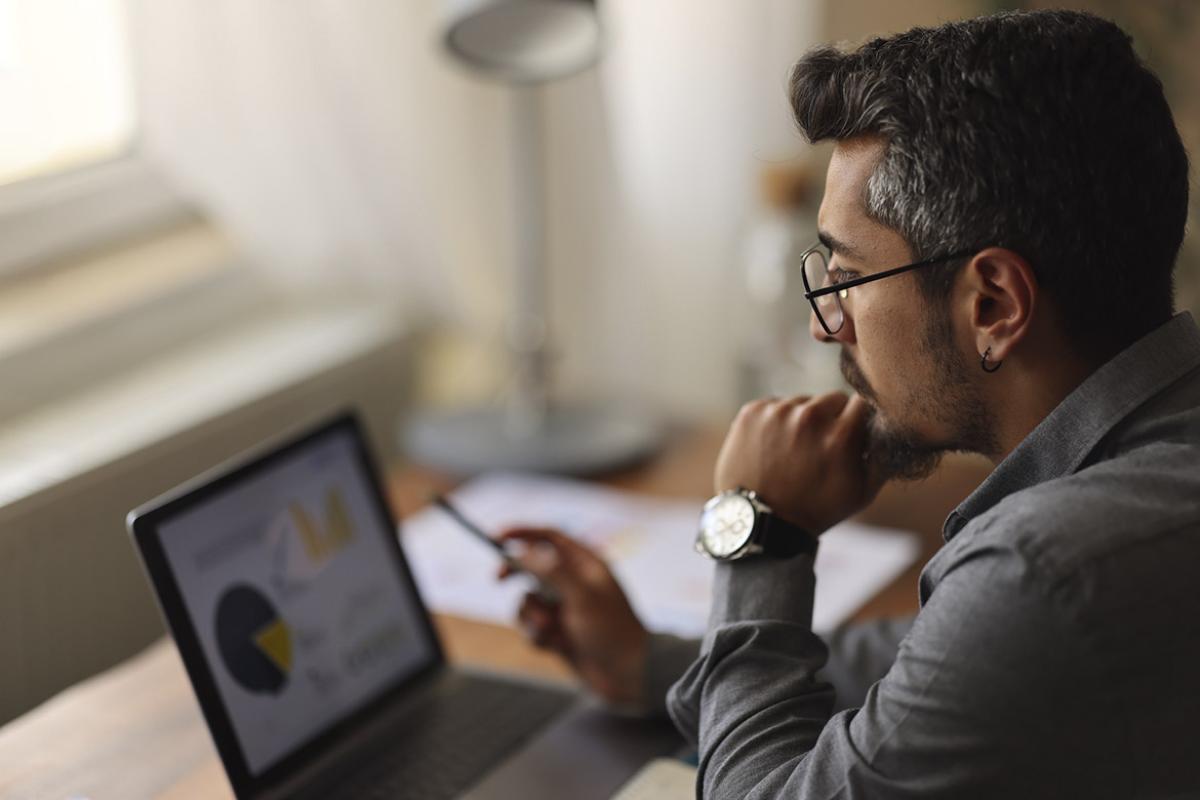 Man looks at a pie chart on a laptop